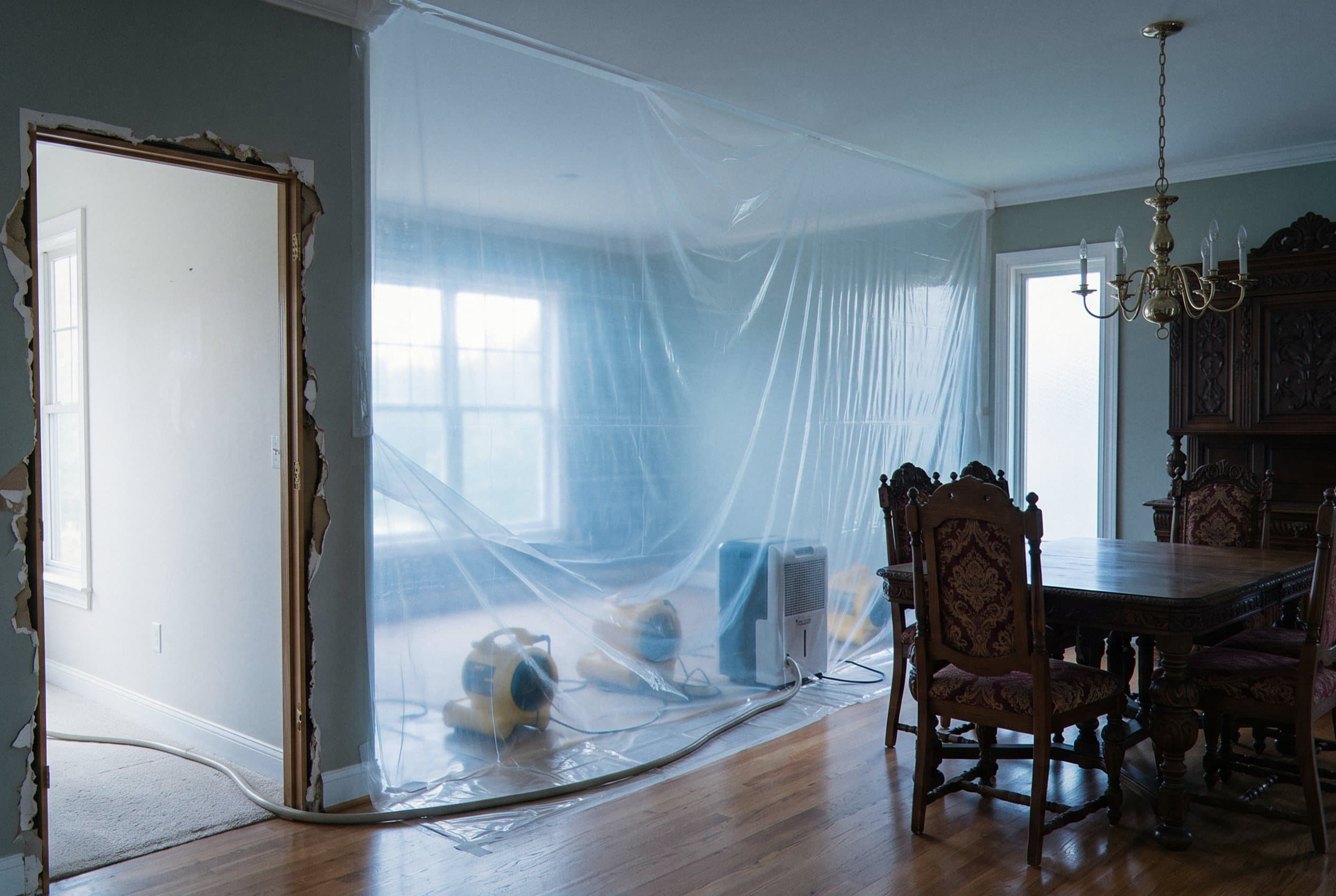Air movers and dehumidifiers running